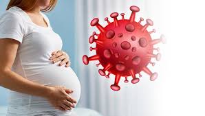 Can Coronavirus Affect Pregnancy-1